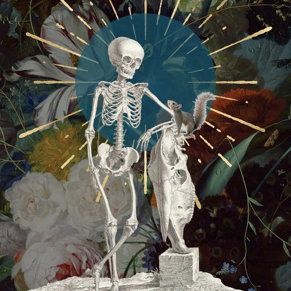 Skeletons: Nature Walk by Amy Salomone