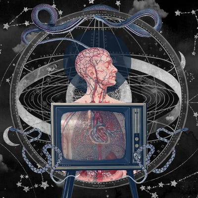 Technological Entanglements by Amy Salomone gallery poster