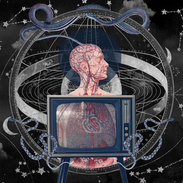 Globes: Technological Entanglements by Amy Salomone