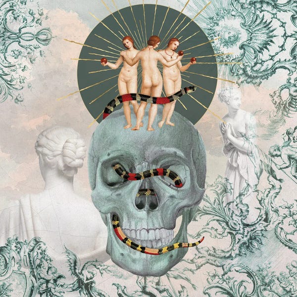 Snakes: The Five Muses by Amy Salomone