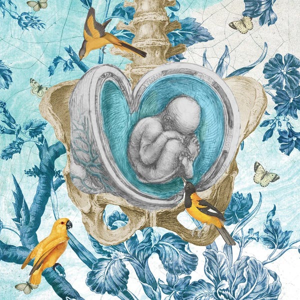 Biology: Nine Months by Amy Salomone