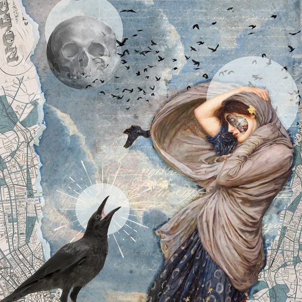 Literature: Once Upon A Midnight Dreary by Amy Salomone