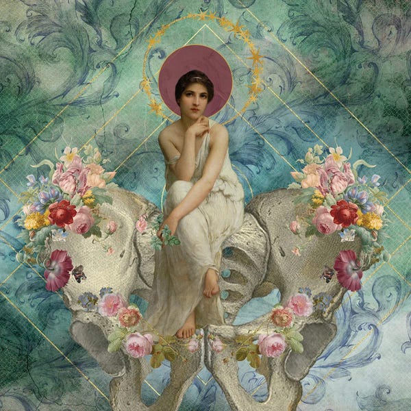 Biology: The Voice Inside Herself by Amy Salomone