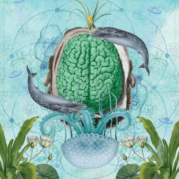 Lilies: Self Love by Amy Salomone