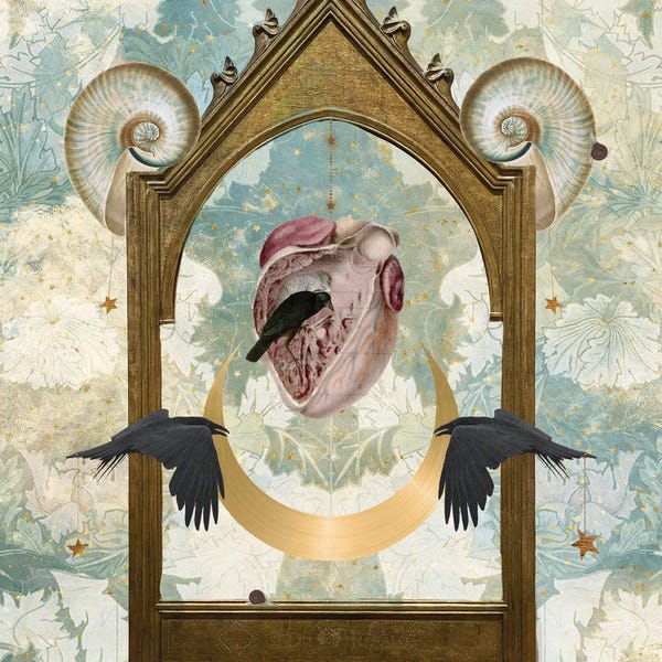 Crows: A Legacy Of Love by Amy Salomone