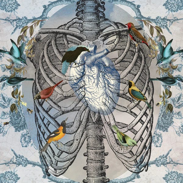 Skeletons: Pastoral by Amy Salomone