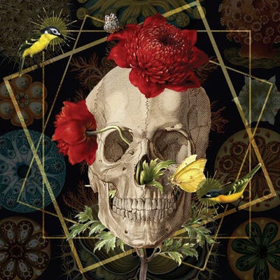 Overgrowth by Amy Salomone metal wall art