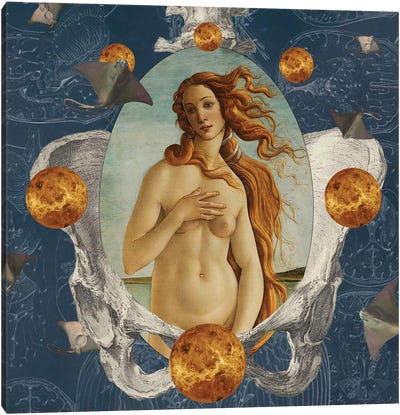 Venus Was Her Name Canvas Art Print - Amy Salomone