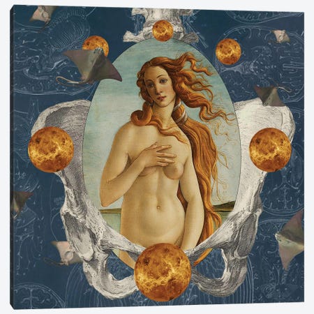 Venus Was Her Name Canvas Print #AYL48} by Amy Salomone Canvas Art