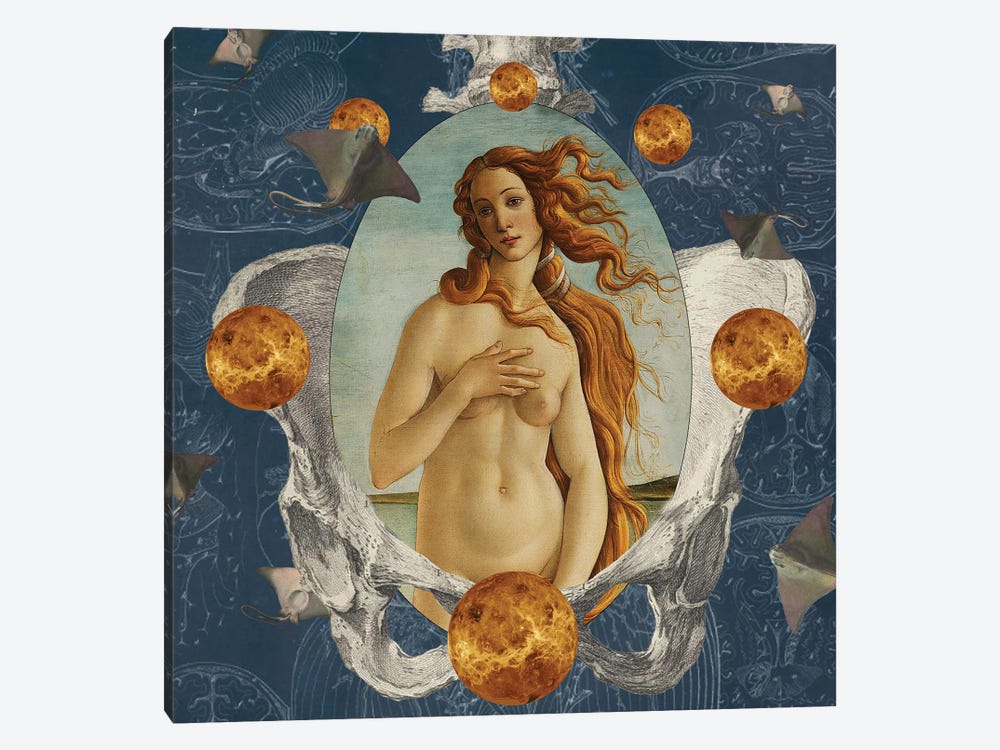 Venus Was Her Name by Amy Salomone 1-piece Art Print
