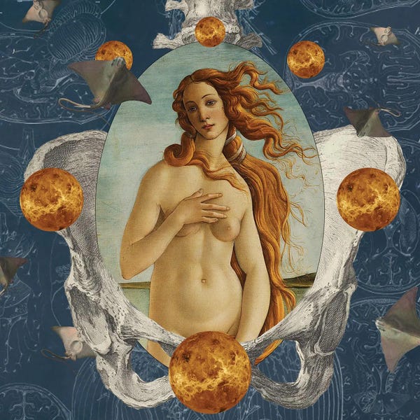 Rays: Venus Was Her Name by Amy Salomone