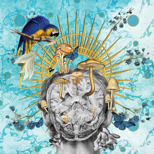 Eye Of The Beholder: Abundance by Amy Salomone