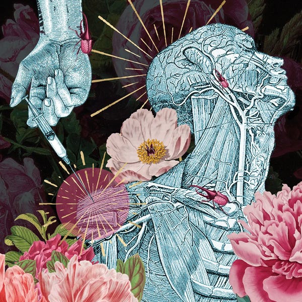 Biology: Shot Up by Amy Salomone