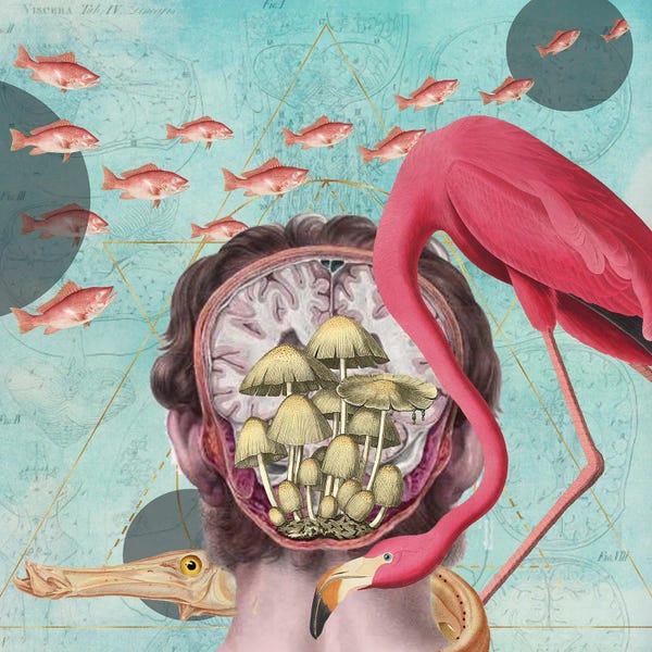 Eye Of The Beholder: Sleep Tight by Amy Salomone