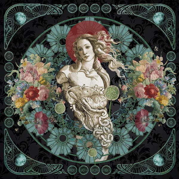 Birth Of Venus: Silent Lucidity by Amy Salomone