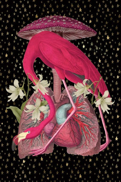 Biology: Where's Alice by Amy Salomone