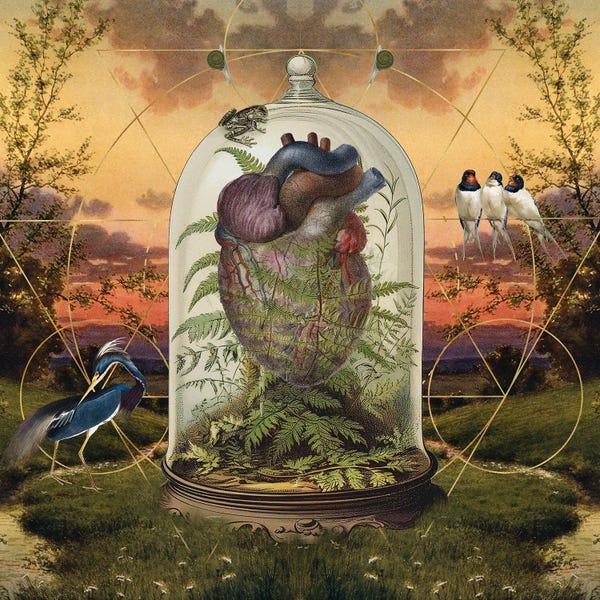 Biology: My Heart Beats With Nature by Amy Salomone