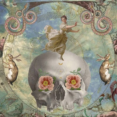 April, Come She Will by Amy Salomone art print