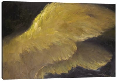 Golden Wings I Canvas Art Print