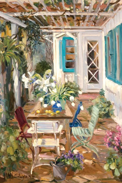 Summer Garden by Allayn Stevens framed wall art