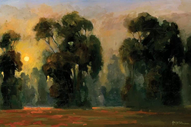 Sun Glint by Allayn Stevens wall art