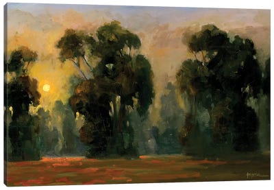 Sun Glint Canvas Art Print - Allayn Stevens