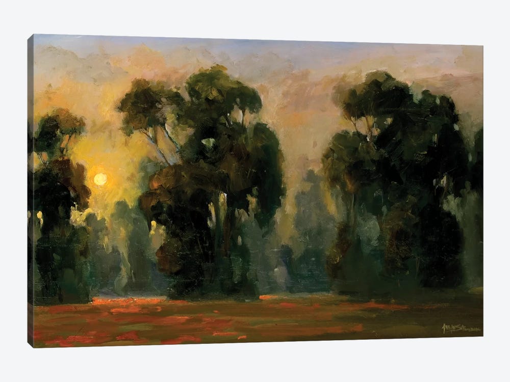 Sun Glint by Allayn Stevens 1-piece Canvas Wall Art