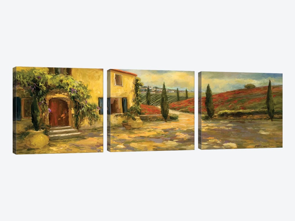 Tuscan Fields by Allayn Stevens 3-piece Canvas Art Print