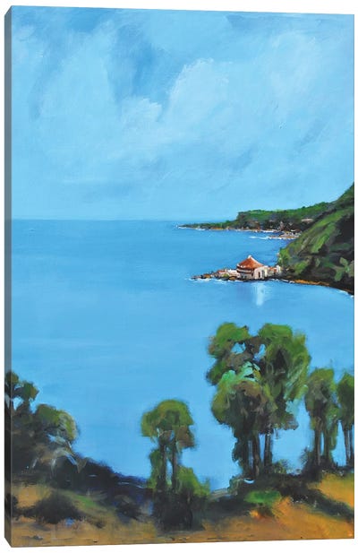 My Cove Canvas Art Print - Allayn Stevens