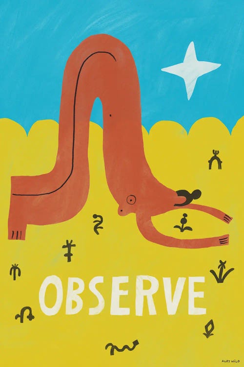 Observe