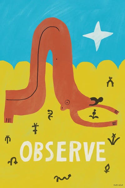 Aley Wild: Observe by Aley Wild