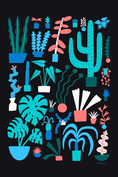 Plant Paradise