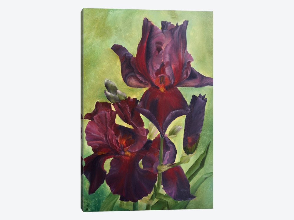 Play With Fire Irises by Alesia Yeremeyeva 1-piece Canvas Artwork