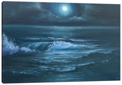 Moonlight Catcher Canvas Art Print - Blue Art