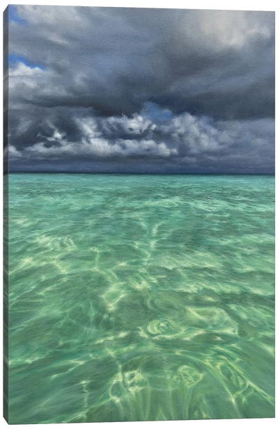 Under The Mexican Sky Canvas Art Print