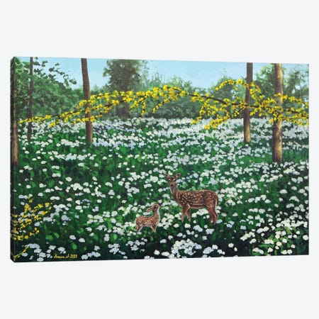 Forest Meadow Canvas Print #AZA10} by Agnieszka Turek Canvas Wall Art