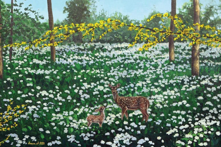 Forest Meadow