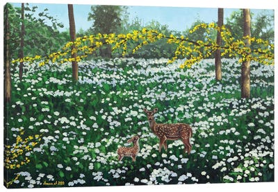 Forest Meadow Canvas Art Print - Agnieszka Turek