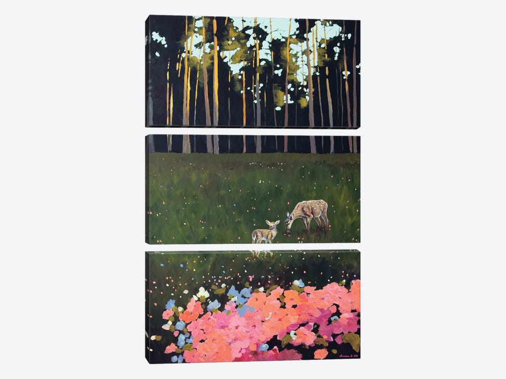 Spring Forest by Agnieszka Turek 3-piece Canvas Print