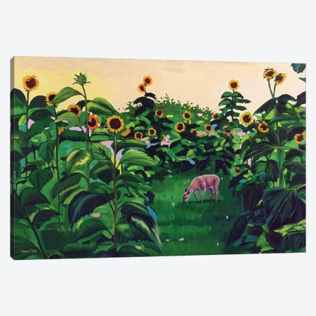 Sunflowers II Canvas Print #AZA22} by Agnieszka Turek Canvas Art Print
