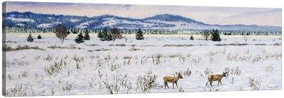 Winter Roedeers Canvas Art Print - Agnieszka Turek