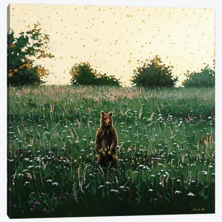 With A Bear On The Meadow Canvas Print #AZA28} by Agnieszka Turek Canvas Print