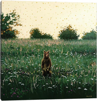 With A Bear On The Meadow Canvas Art Print - Brown Bear Art