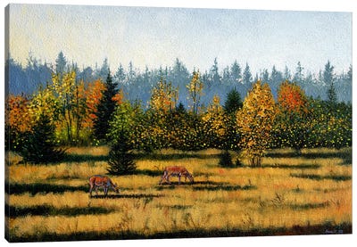 Autumn Doe Canvas Art Print - Agnieszka Turek