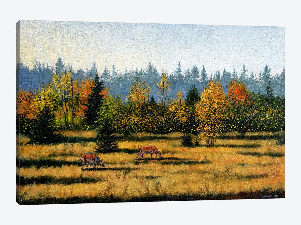 Autumn Doe by Agnieszka Turek 1-piece Canvas Print