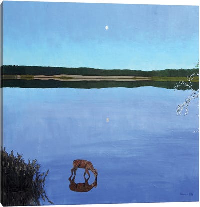 In The Reflection Canvas Art Print - Jordy Blue