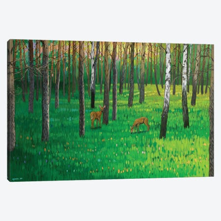 Spring Forest VI Canvas Print #AZA3} by Agnieszka Turek Canvas Print
