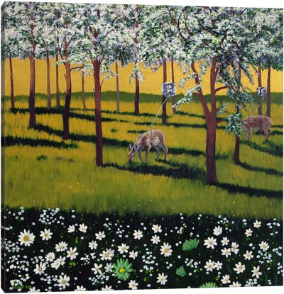 Spring Forest IV Canvas Art Print - Agnieszka Turek