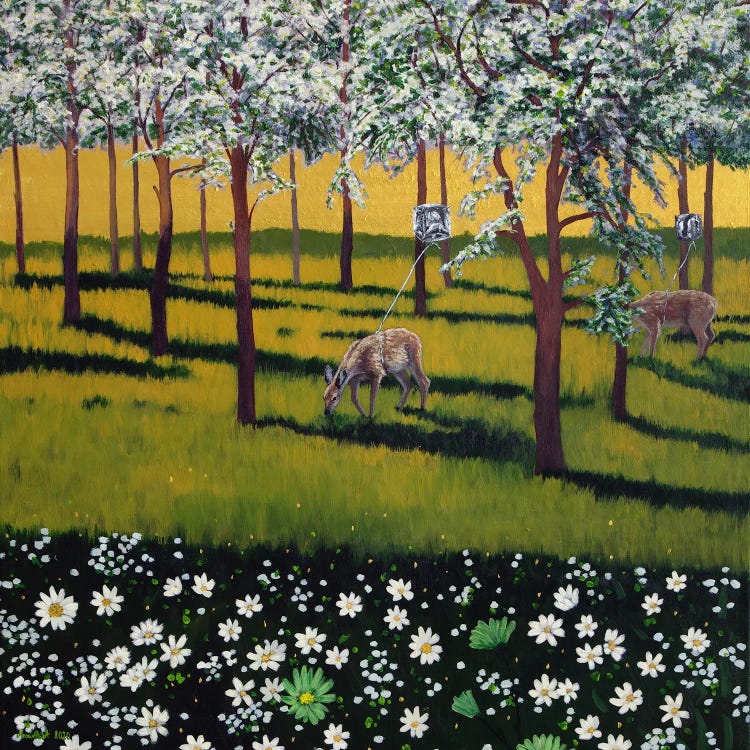 Spring Forest IV