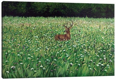 Bieszczady Meadow Canvas Art Print - Green Art